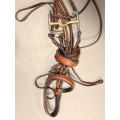 Bride cheval marron