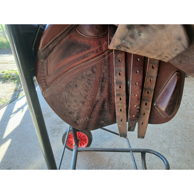 Selle CWD