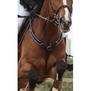 Collier de chasse Protanner