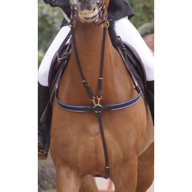 Collier de chasse Protanner