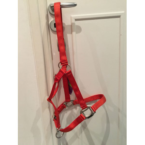 Licol equitheme light orange