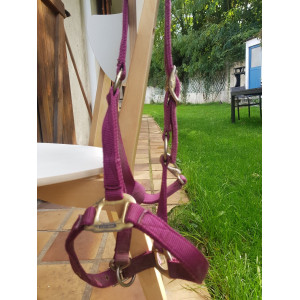 Licol taille poney Mauve