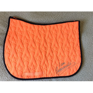 Ensemble tapis et Licol