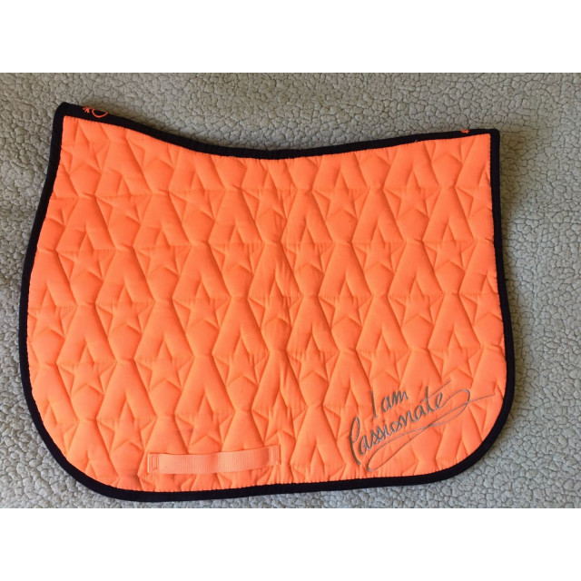 Ensemble tapis et Licol