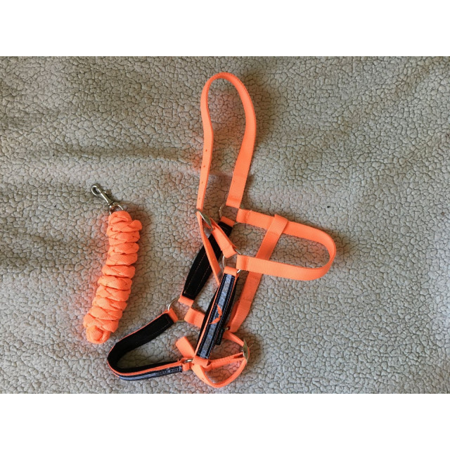 Ensemble tapis et Licol