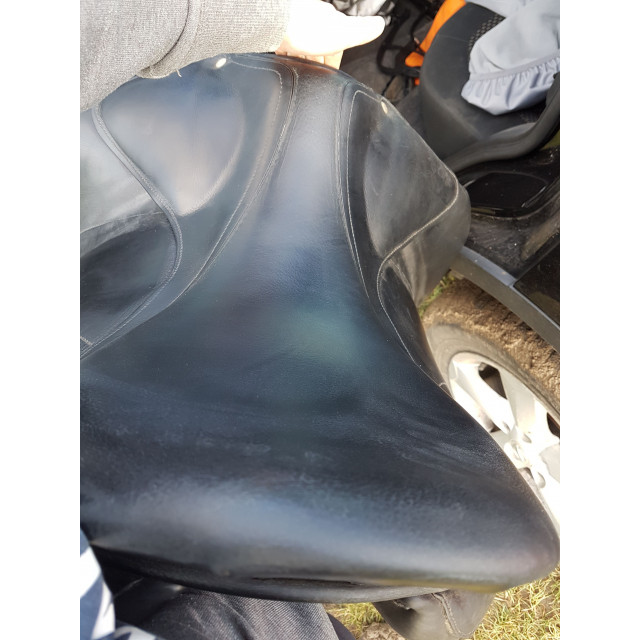 Selle Childeric DSG