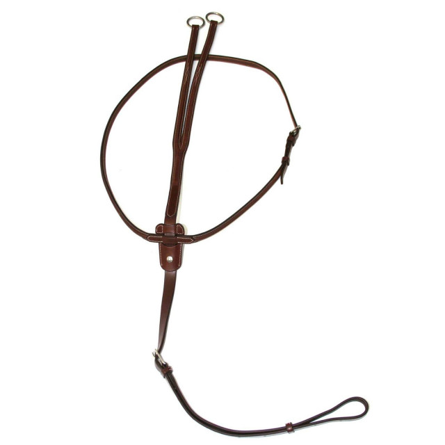 MARTINGALE A ANNEAUX ANTARES