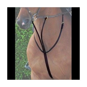 MARTINGALE ANNEAUX DYON