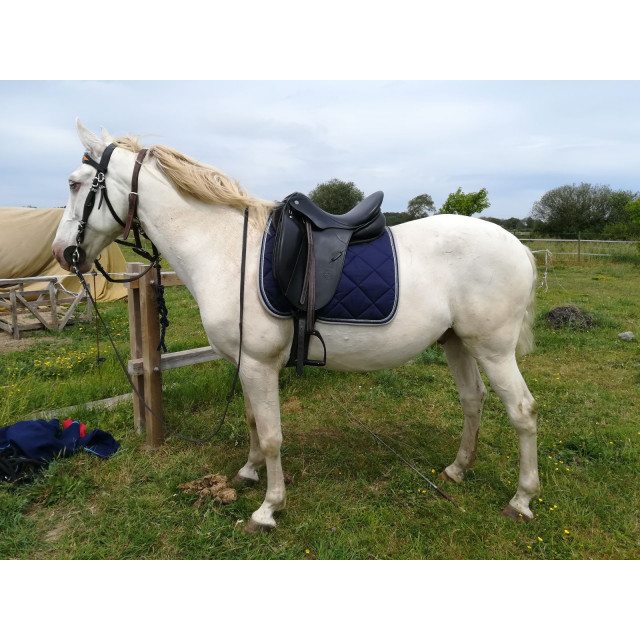 Selle dressage Stubben Philippe Fontaine