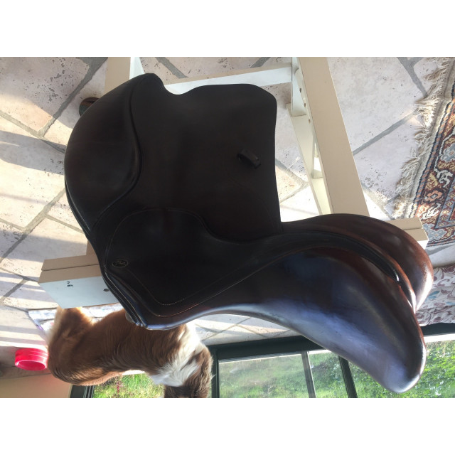 Selle Time Rider