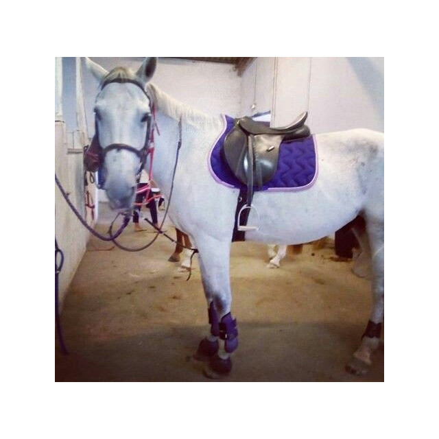 Tapis Equithème violet