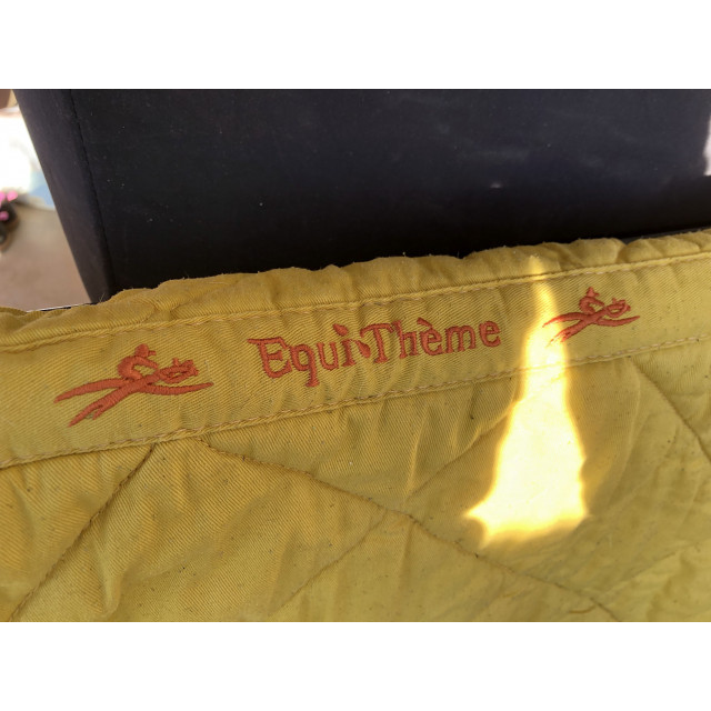 Tapis equi-thème