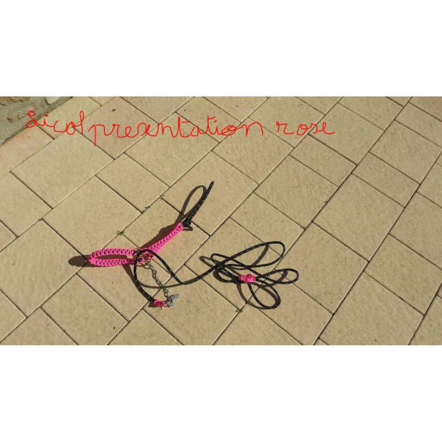 licol présentation corde fait main