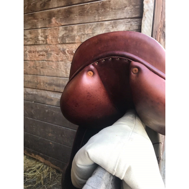 Selle Childeric CSO