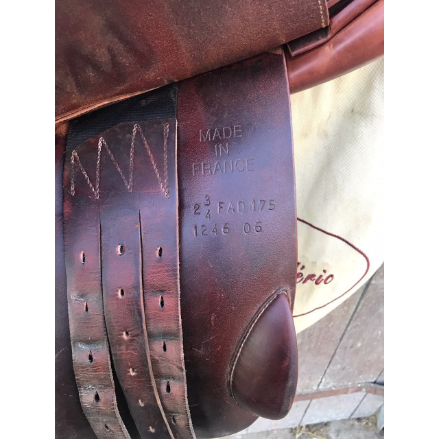 Selle Childeric CSO