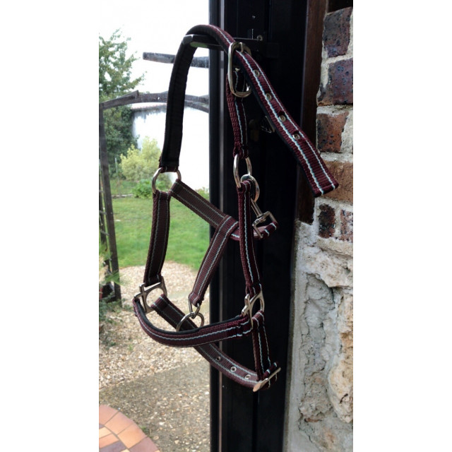 Licol bordeau