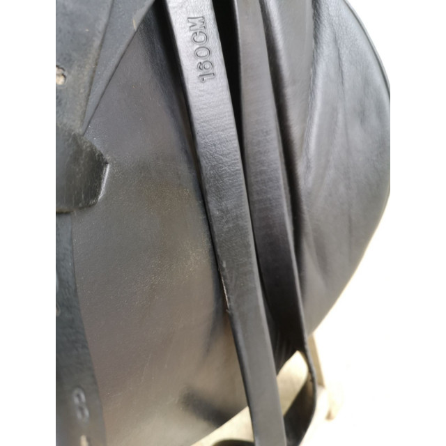 Selle prédominance dressage