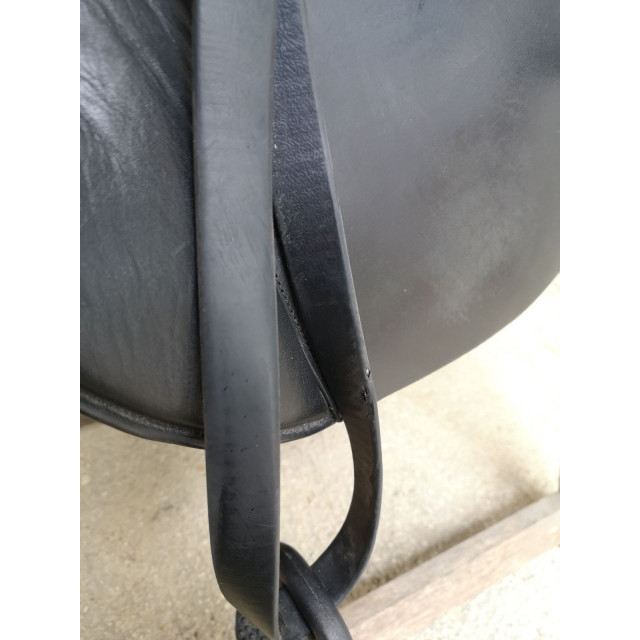 Selle prédominance dressage