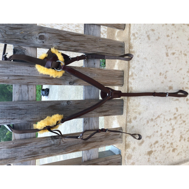 collier de chasse 5 points