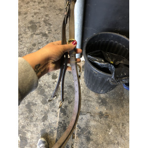 Collier de chasse + martingale