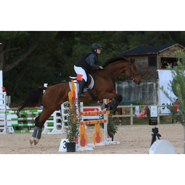 Gilet AIRBAG Equithème