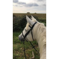 Bridon Norton Taille Cob doublé frontal et muserolle