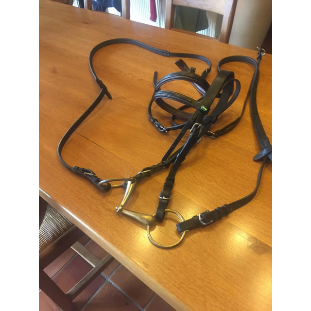 Bridon Norton Taille Cob doublé frontal et muserolle