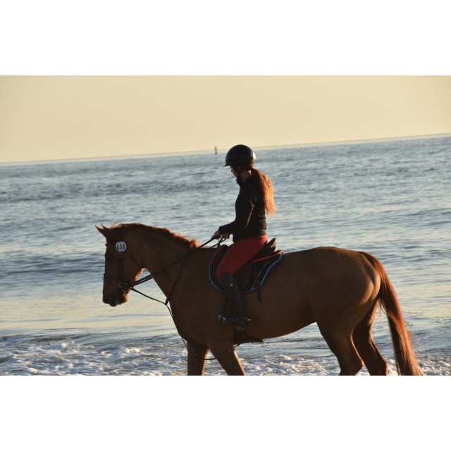 Tapis paddock sport
