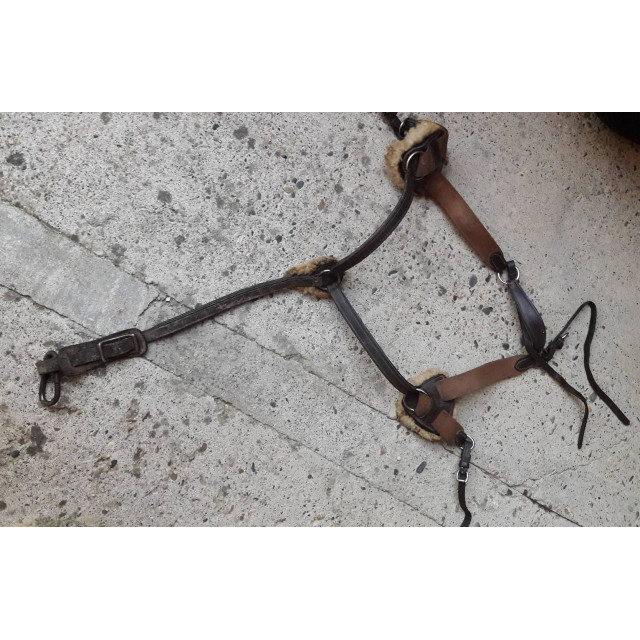 Collier de chasse 5pts COB