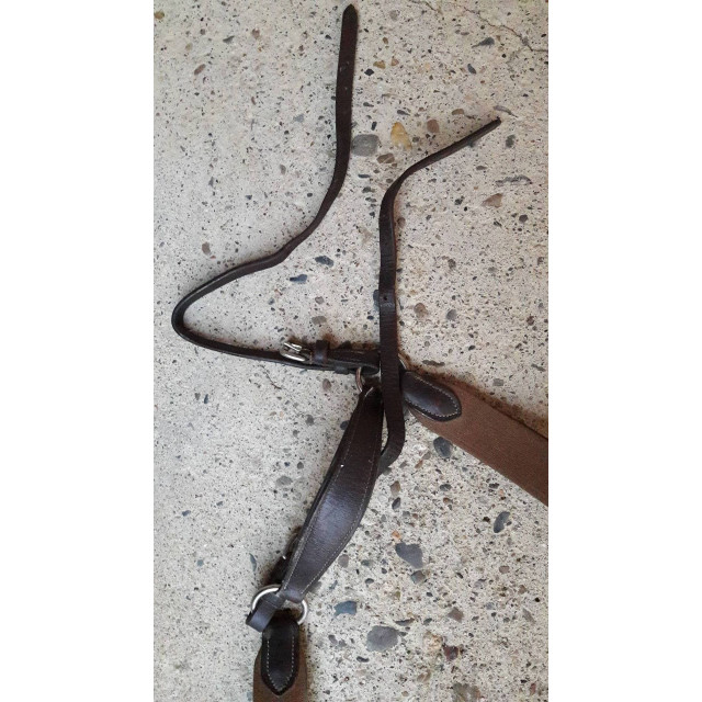 Collier de chasse 5pts COB