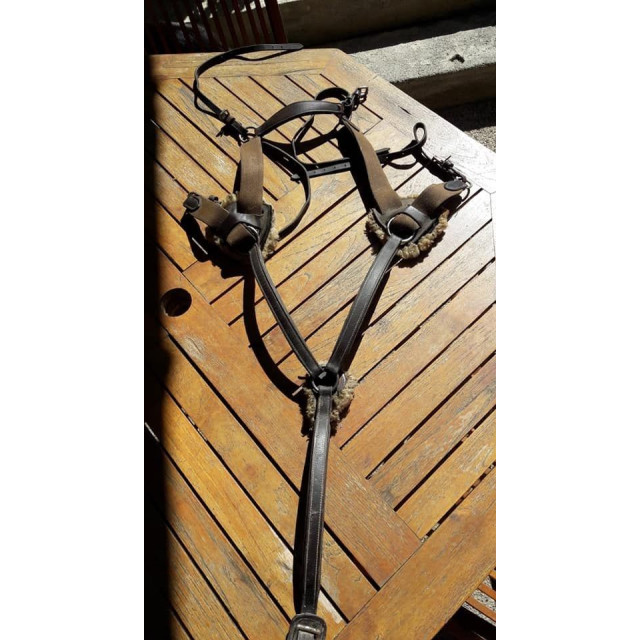 Collier de chasse 5pts COB