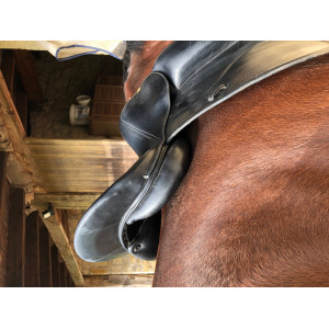 SELLE DE DRESSAGE