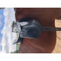 SELLE DE DRESSAGE