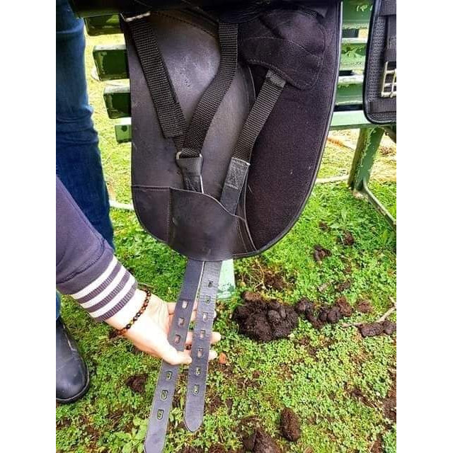 Selle dressage Horse parade complète !