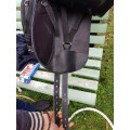 Selle dressage Horse parade complète !