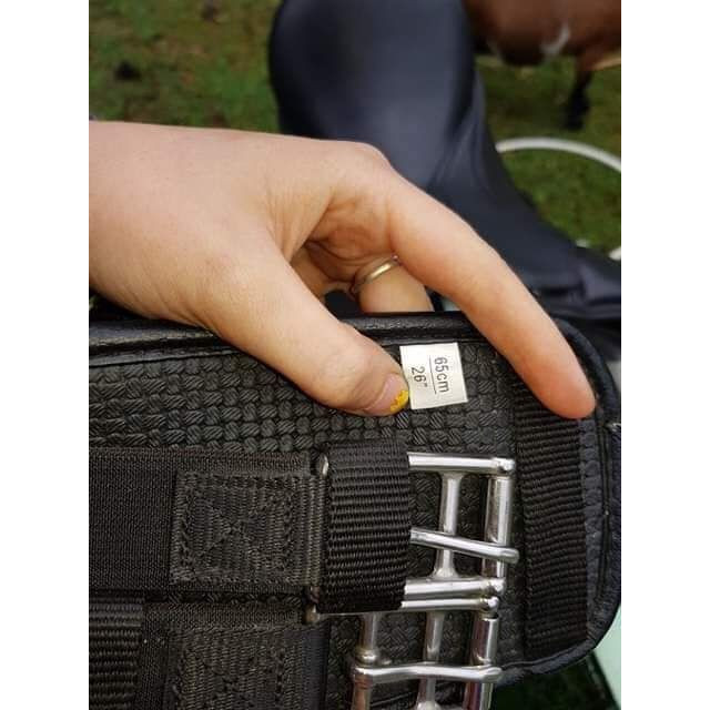 Selle dressage Horse parade complète !