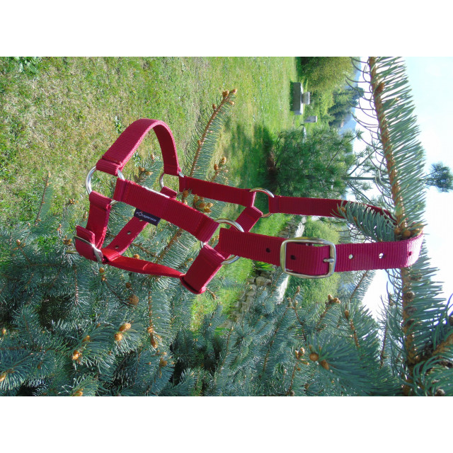 Licol Rouge FOUGANZA