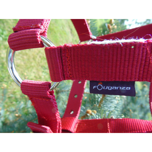 Licol Rouge FOUGANZA