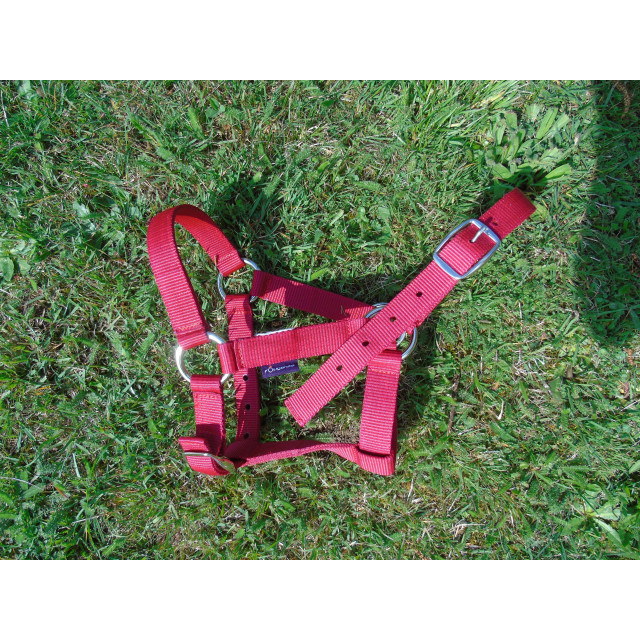 Licol Rouge FOUGANZA