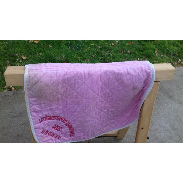 Tapis rose