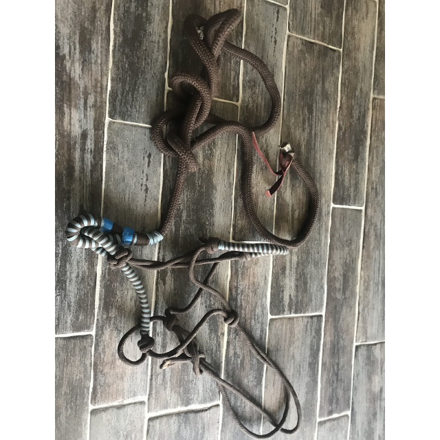 licol et longe éthologique