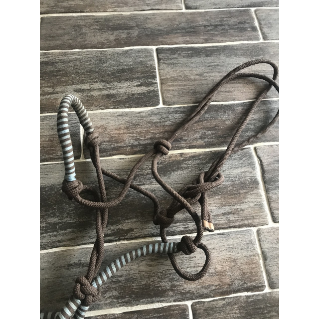 licol et longe éthologique