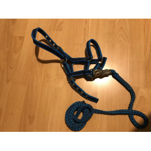 Licol taille shetland ou poulain