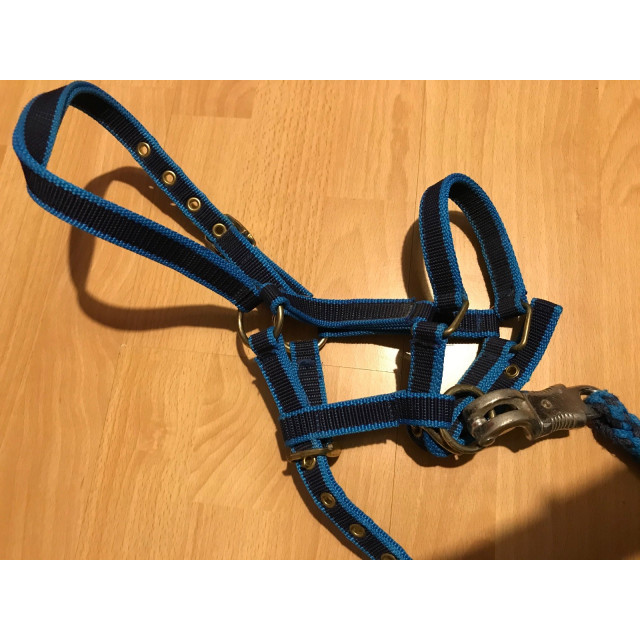 Licol taille shetland ou poulain