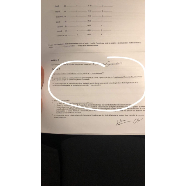 Panier pour chien Ogilvy