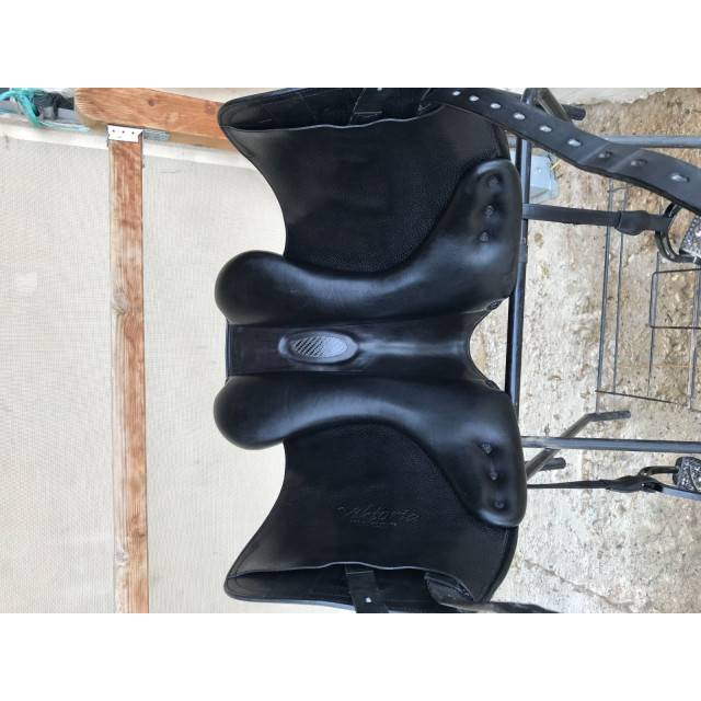 selle équipe dressage