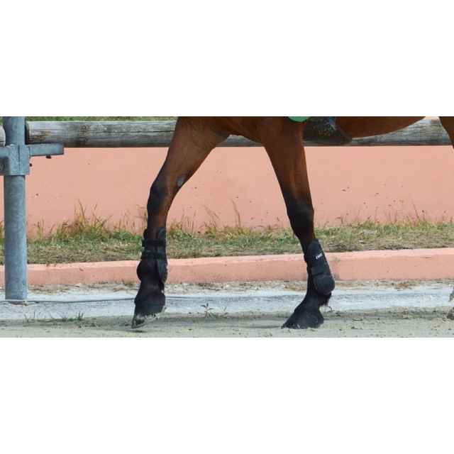 Guêtres CWD en cuir noir