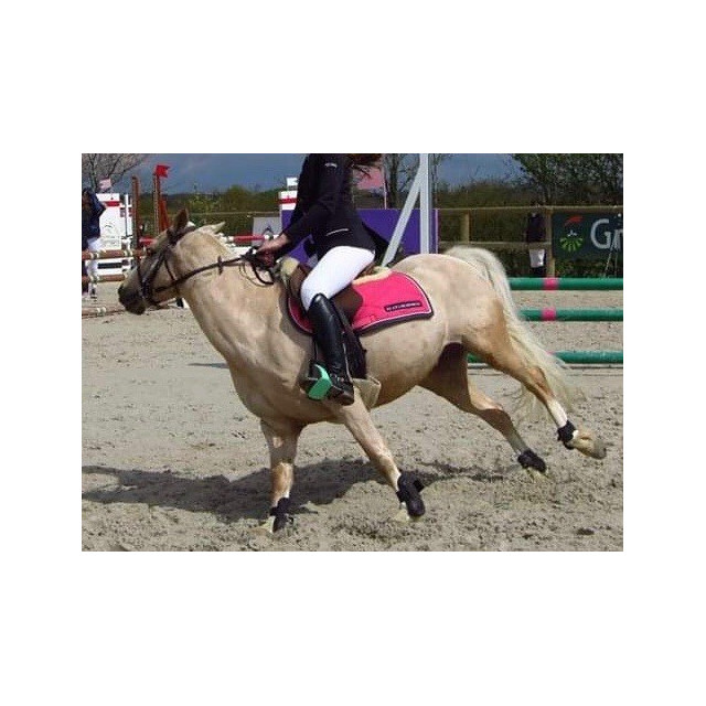 Tapis de selle Scapa Sport fuchsia