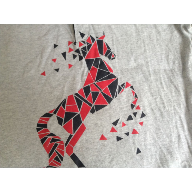 Polo à maches longues FOUGANZA