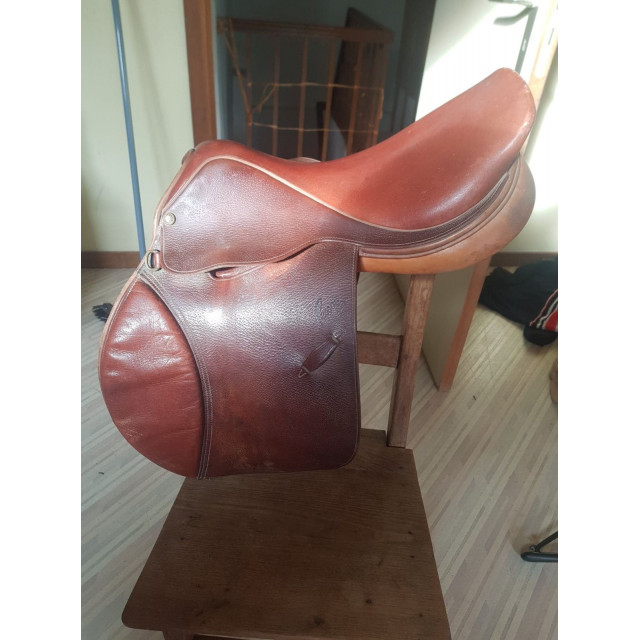 selle pessoa